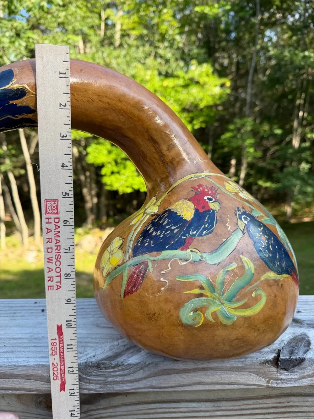 🦜 LARGE Dried Gourd | Hand Painted Parrots | 12